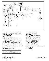 Map of Kozanhorodok (c 53 Kb)