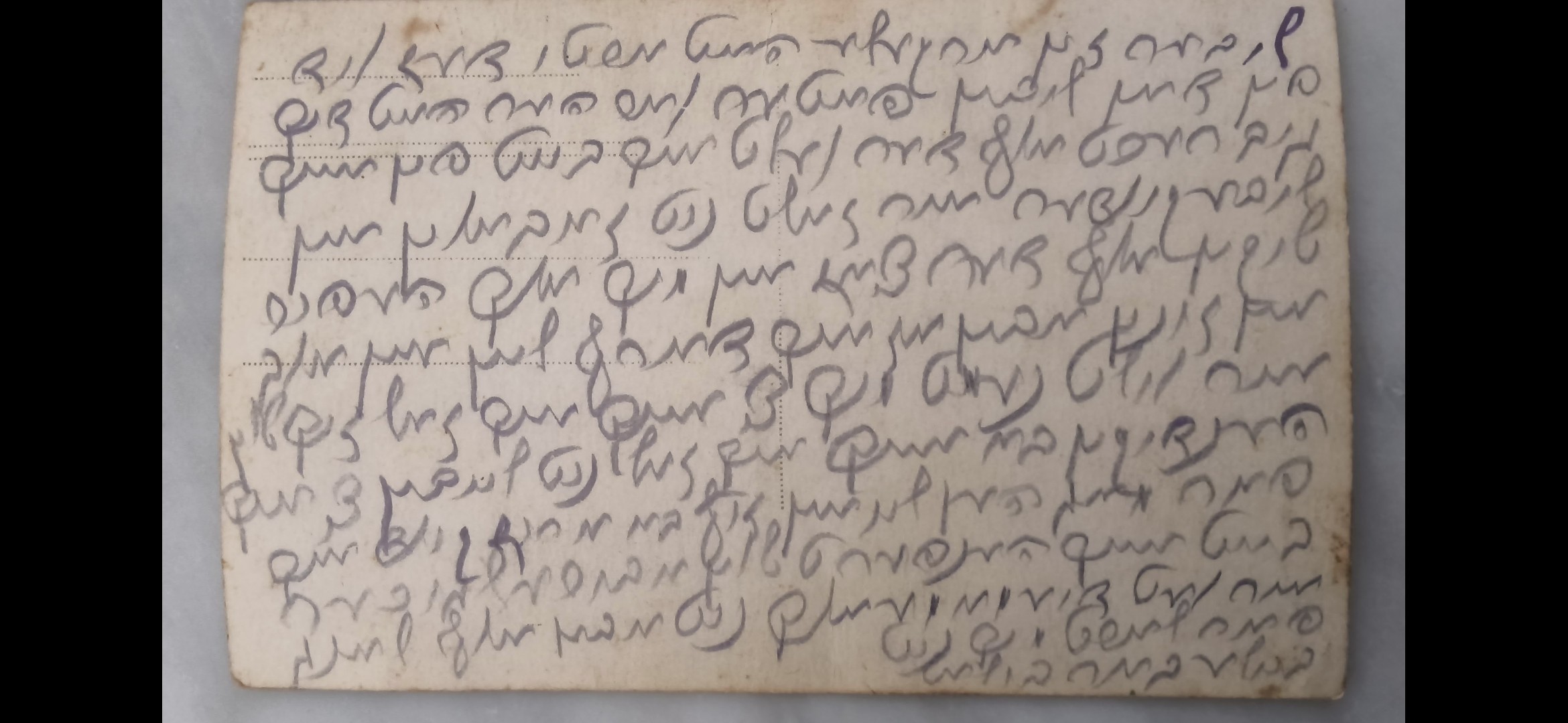 VM115444