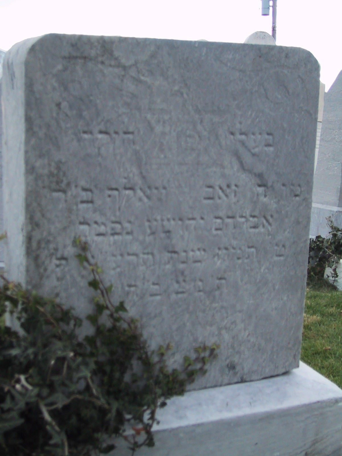 VM443