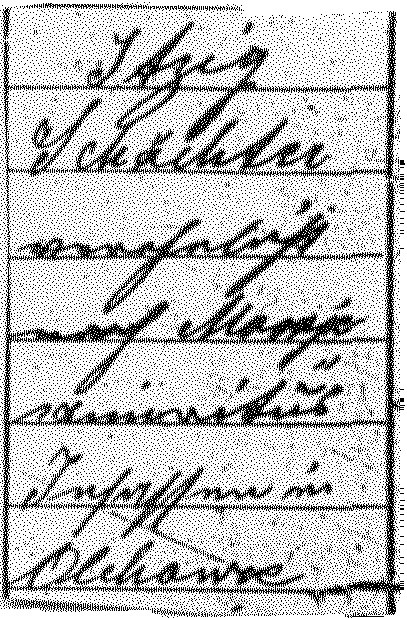 VM444
