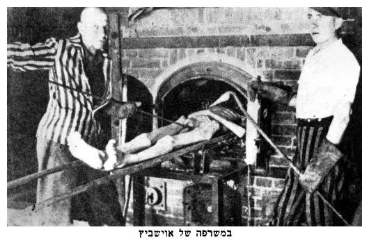 In the Auschwitz crematorium - dab431.jpg [43 KB]