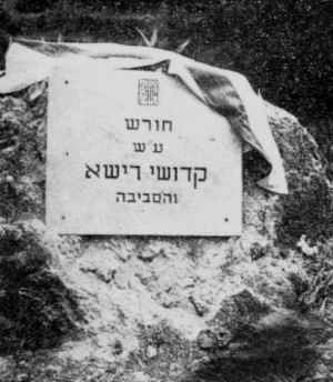 Rzee143.jpg