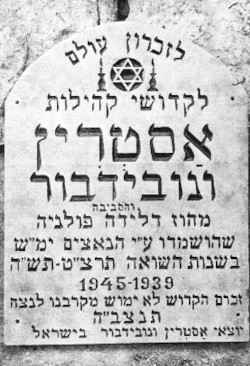 szc367.jpg