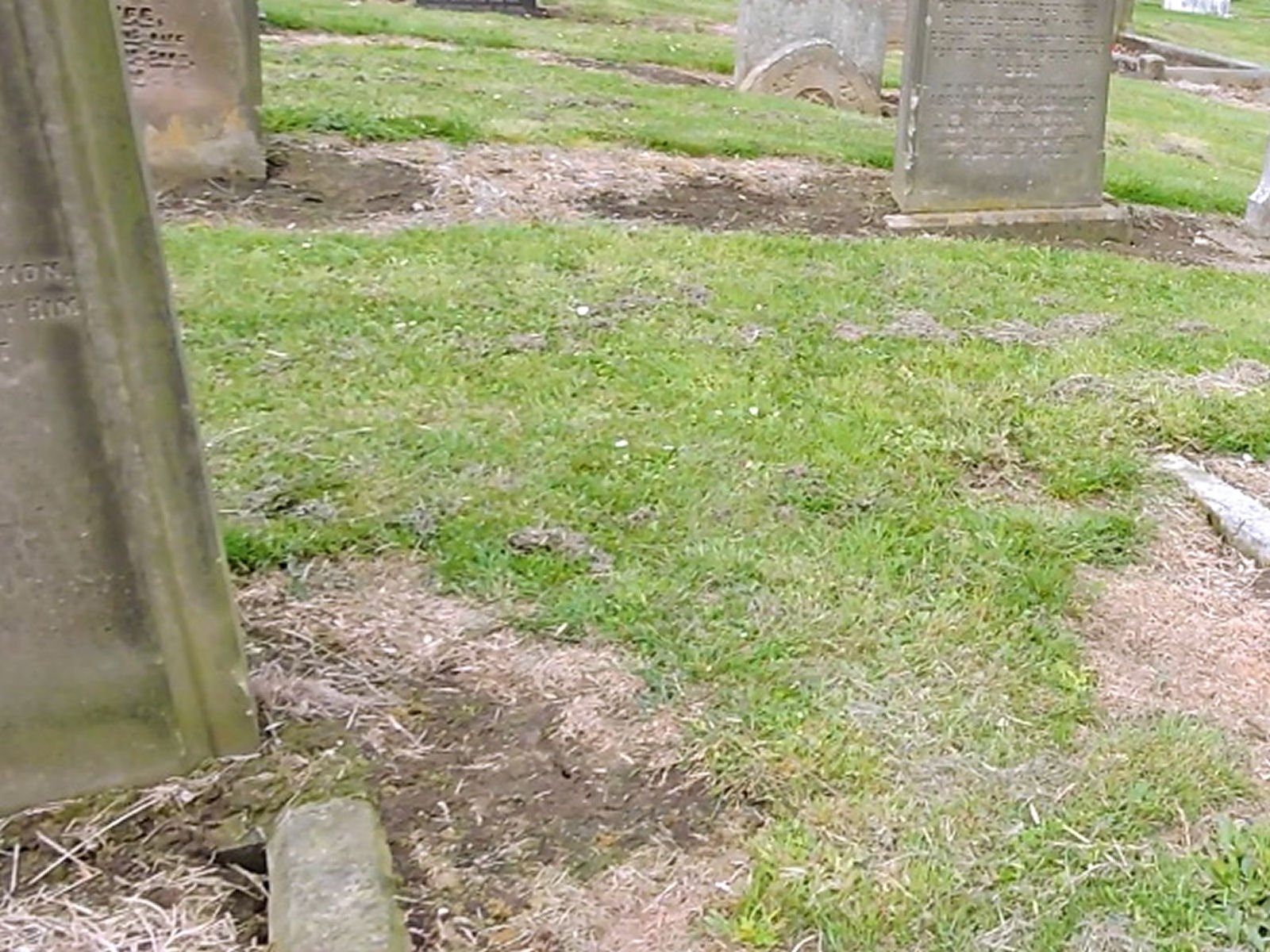 JCR-UK: Sunderland Cemetery Project (2019)