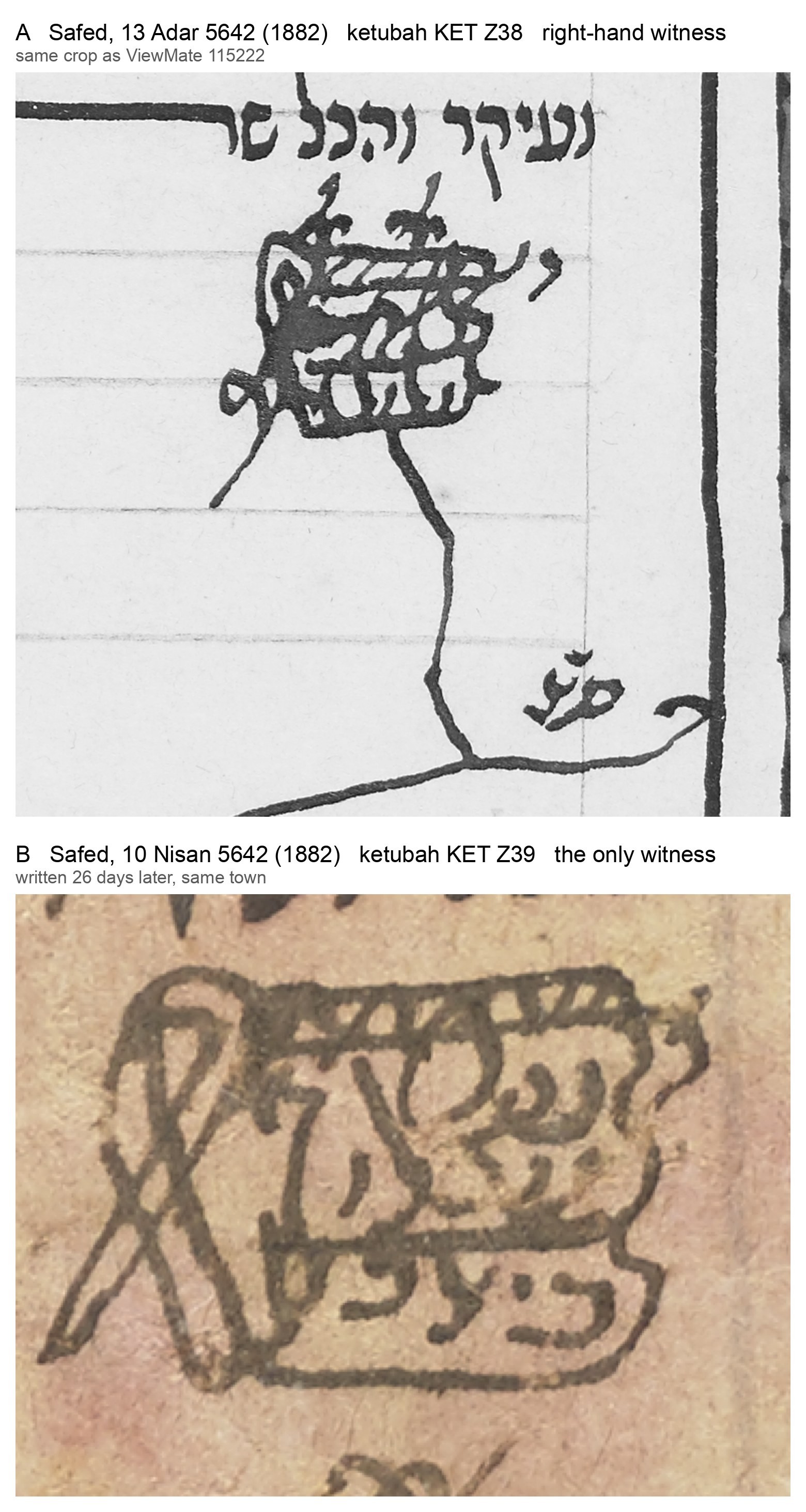 VM115225