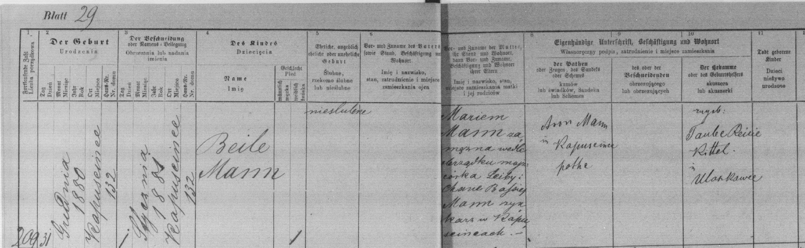 VM115245