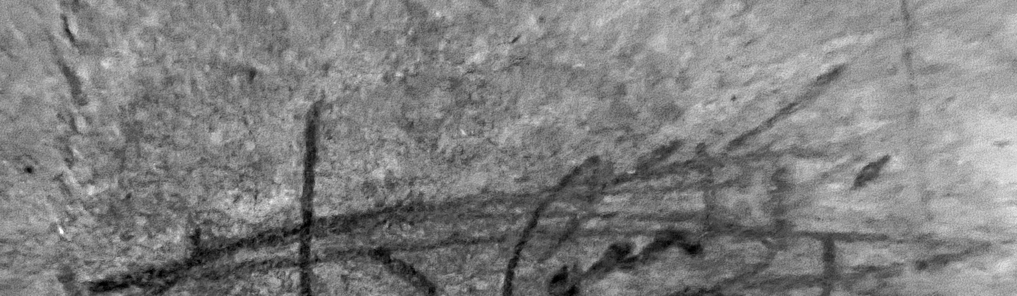 VM115269