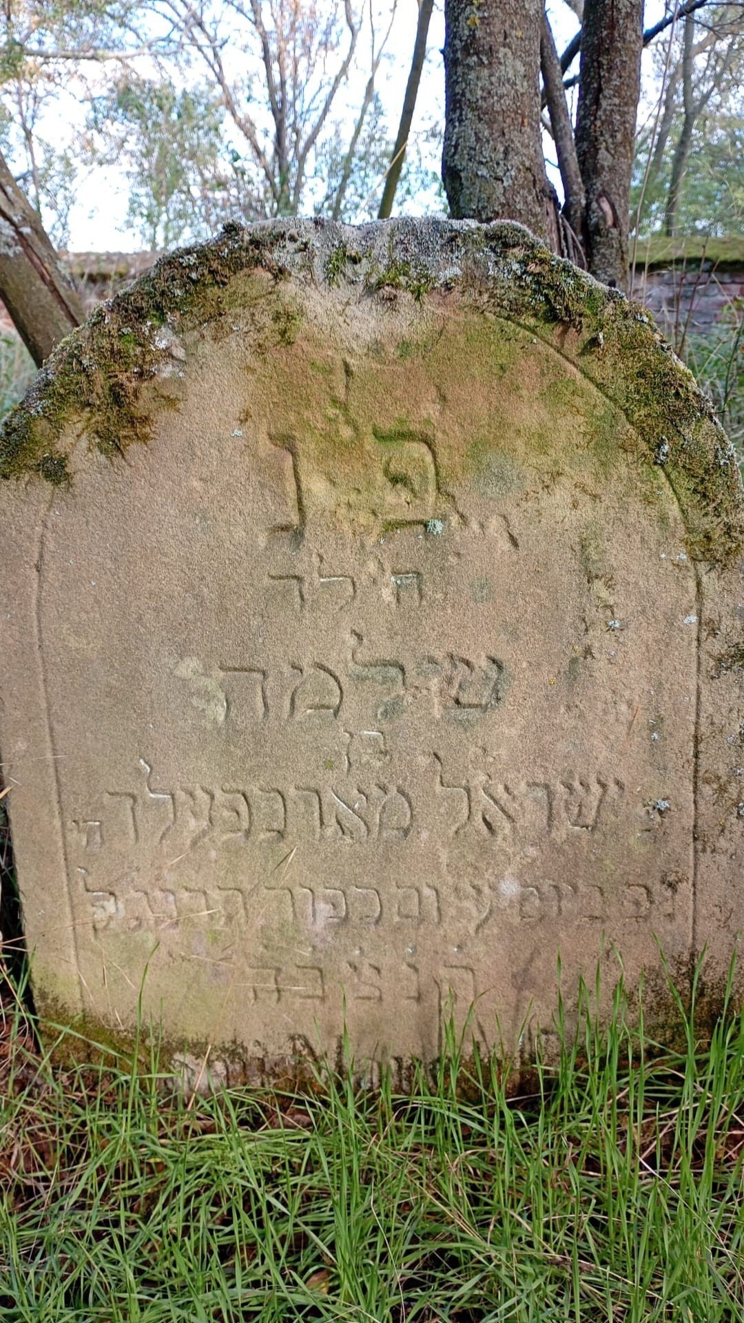 VM115357
