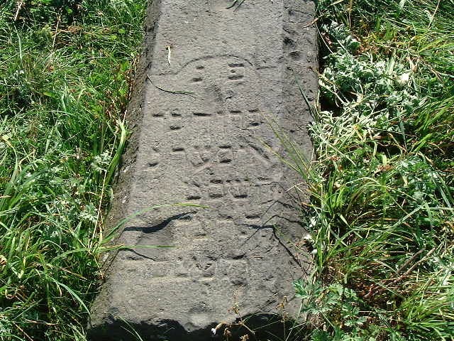 VM288