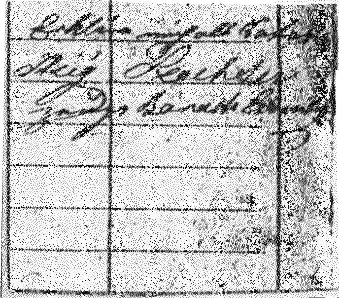 VM446