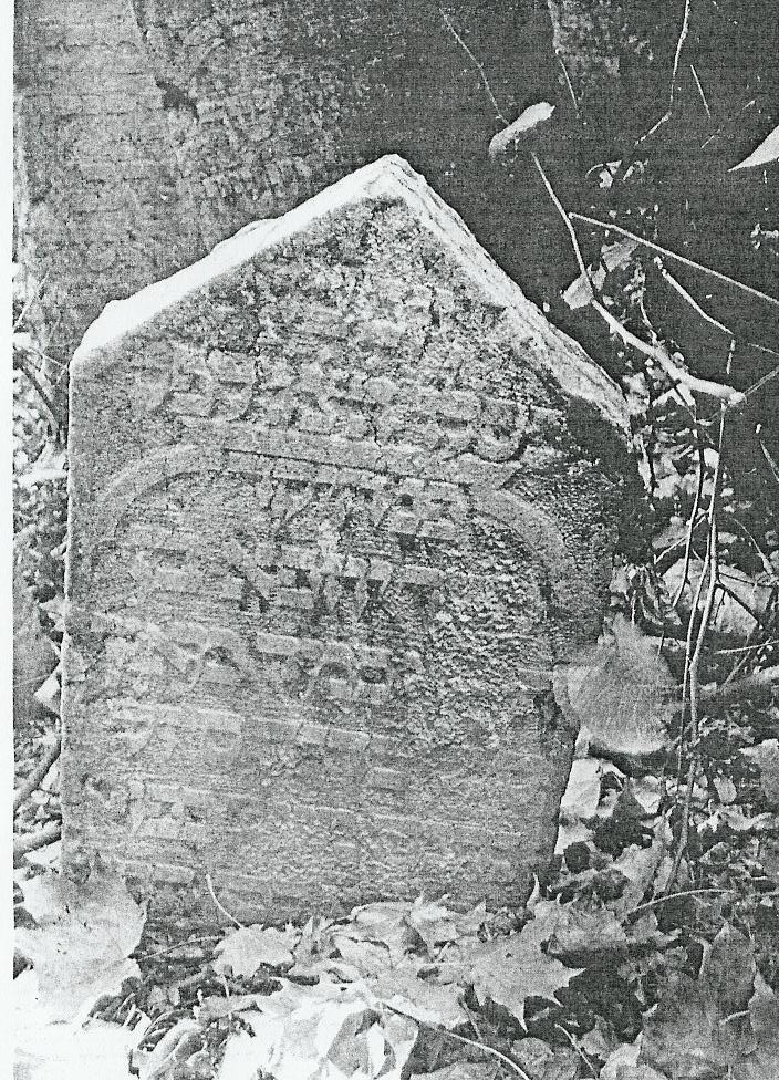 VM520