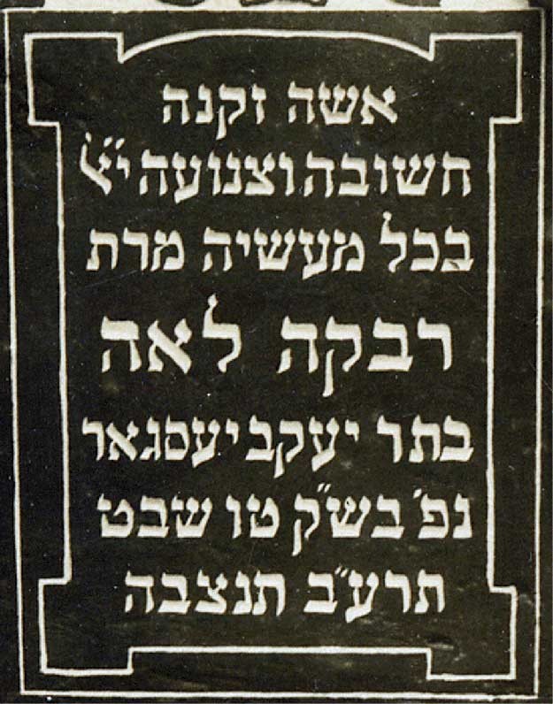 VM895