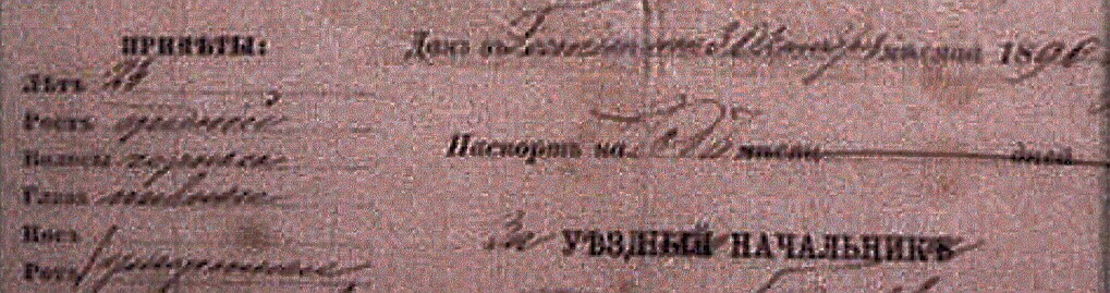 VM1040