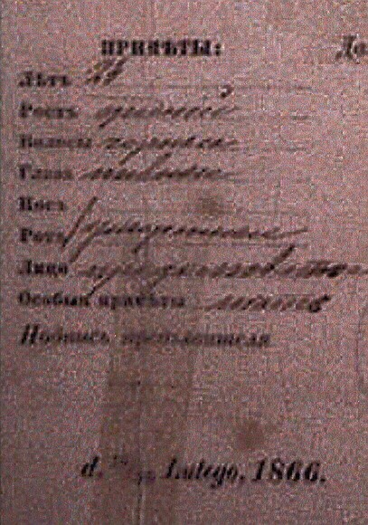 VM1041