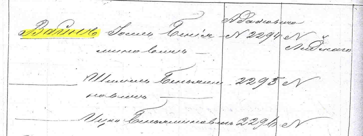 VM1134