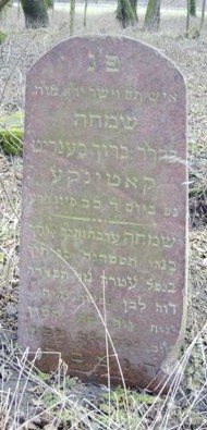 VM1151