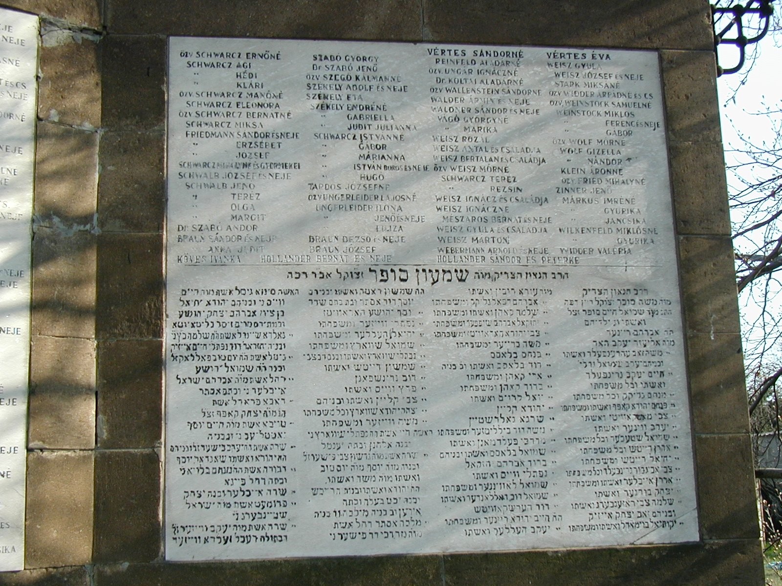 VM1196