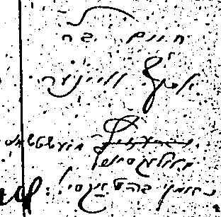VM1247