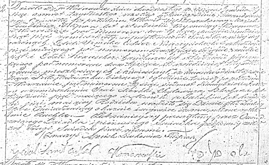 VM1294