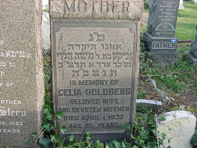 VM1352