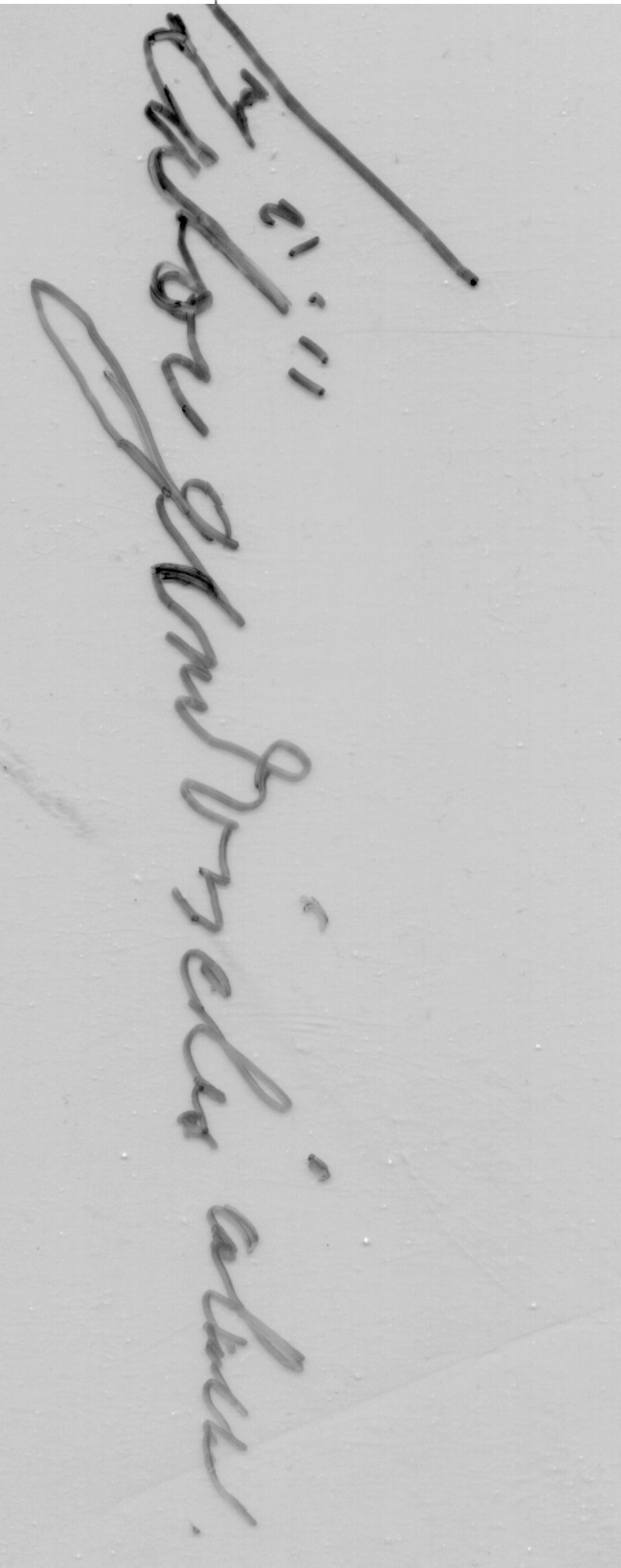 VM1447