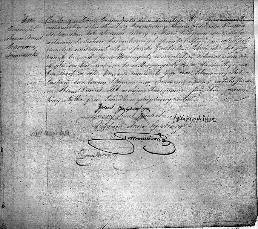 VM1619