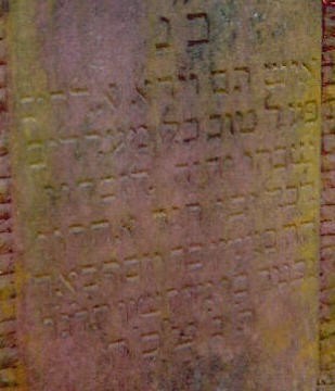 VM1661