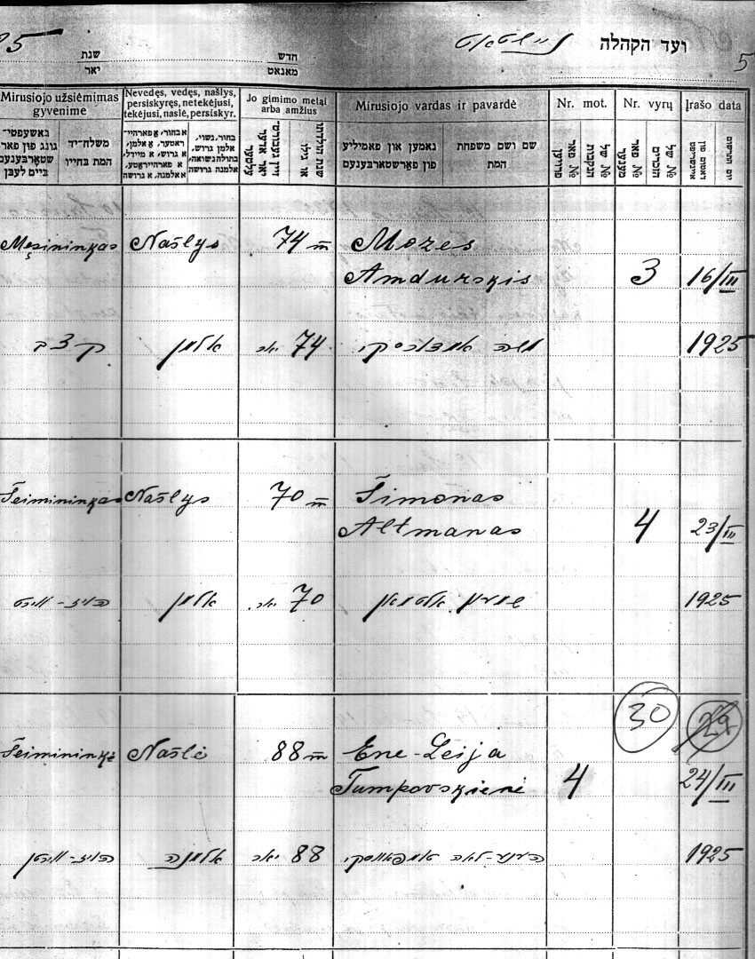 VM1909