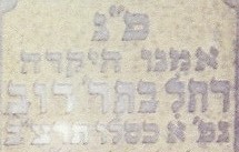 VM1916