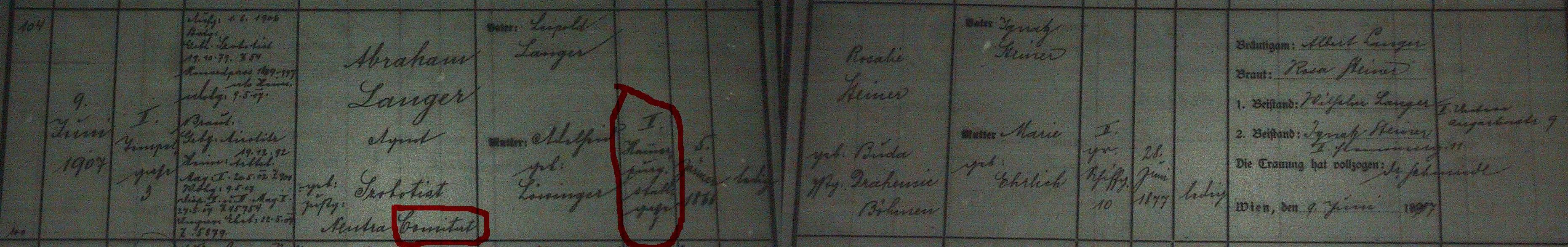 VM1919