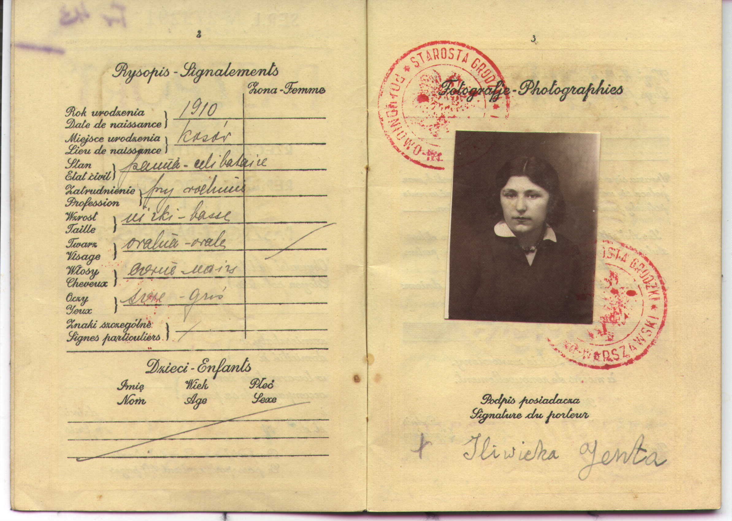 VM1941