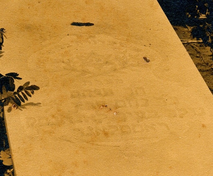VM2123