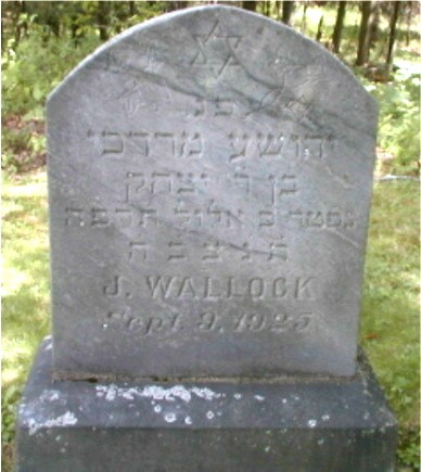 VM2169