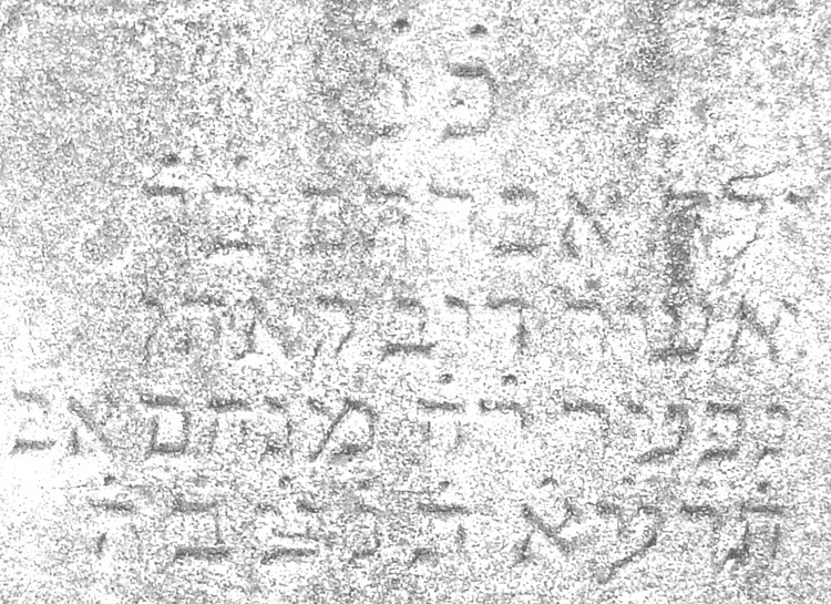 VM2353