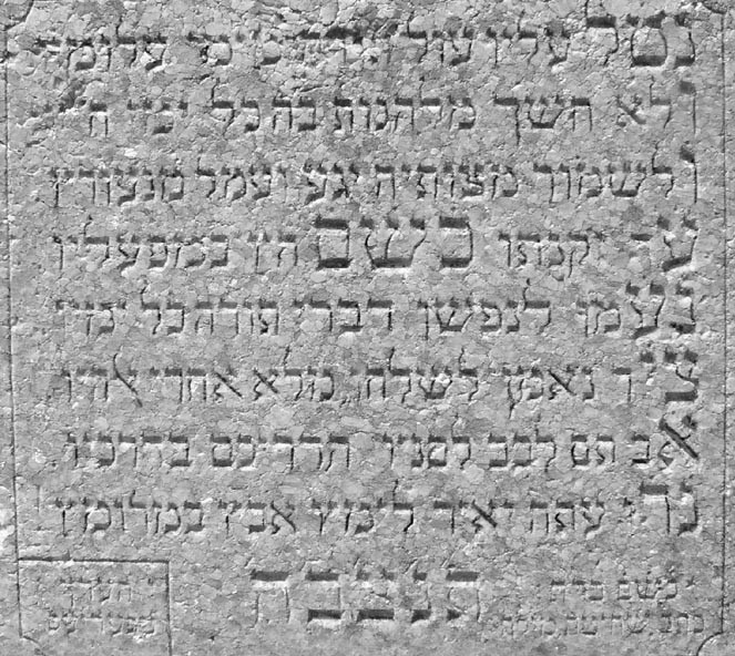 VM2363
