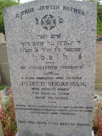 VM2406