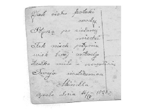 VM2439