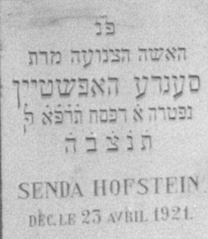 VM2460