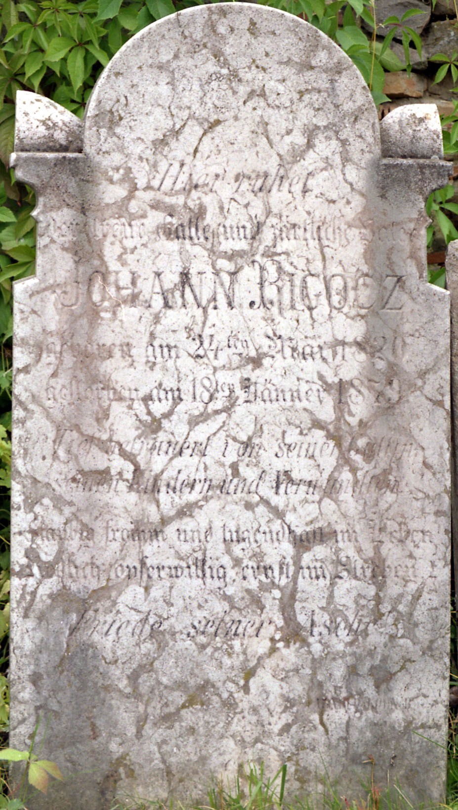 VM2506