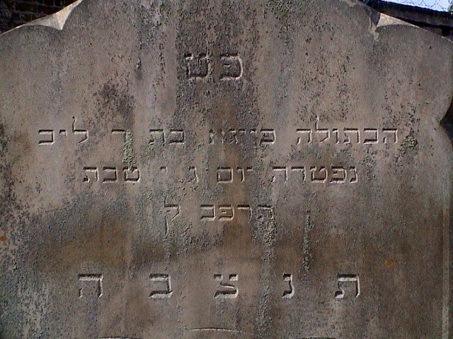 VM2666