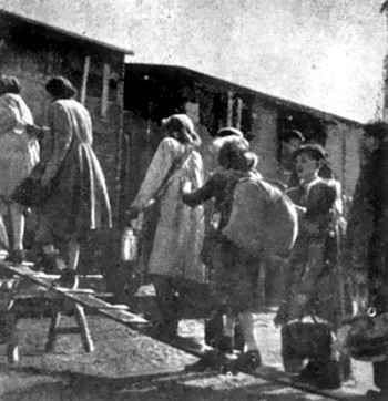 Biay197.jpg