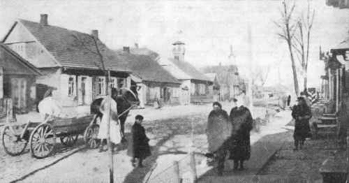 Bie236.jpg