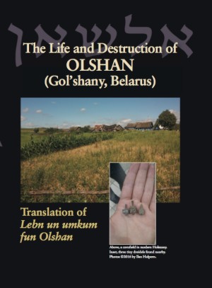 Cover: The Life and Destruction of Olshan