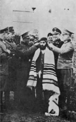 Ost260.jpg