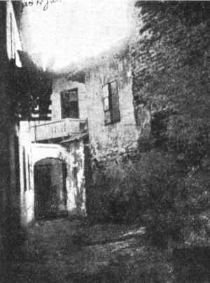 Tar1_007.jpg