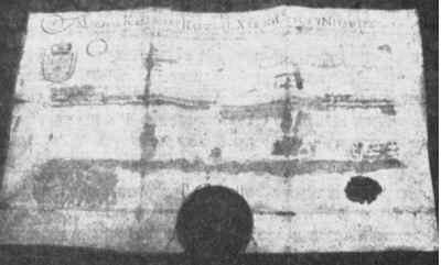 Tar1_009.jpg